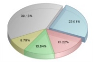 pie charts