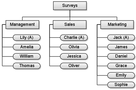 multiuser survey application